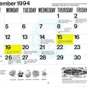 1994 Antarctic Calendar